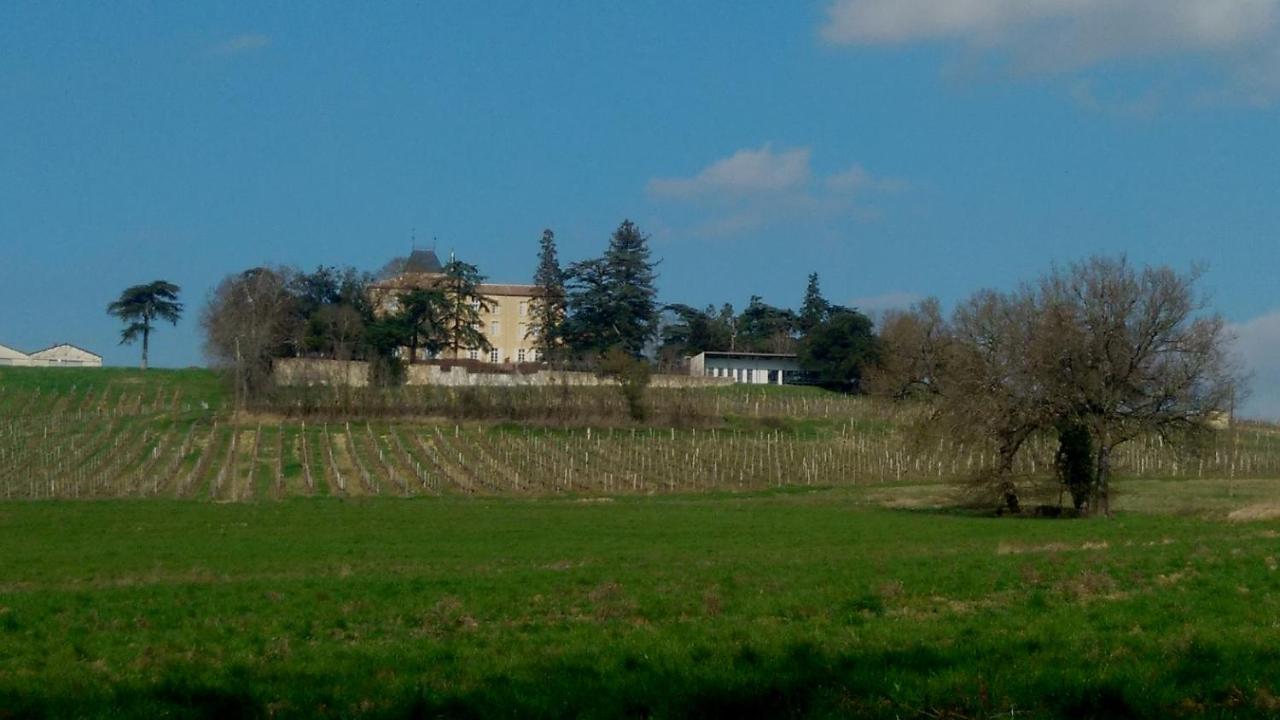 Chateau De Mons Armagnac Caussens Exterior photo